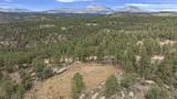 13490 Big Pine Ridge Rd - Photo 6