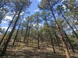 13490 Big Pine Ridge Rd - Photo 8