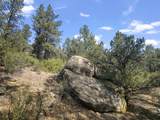 13490 Big Pine Ridge Rd - Photo 9