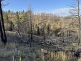 Lot 273 Forbes Park Rd - Photo 7