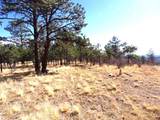 12231 Council Rd - Photo 51