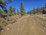 TBD Meadowlark Drive - Photo 5