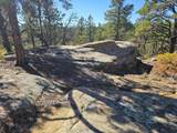 TBD Columbine Circle - Photo 1