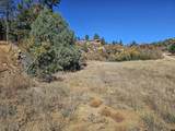 TBD Columbine Circle - Photo 10