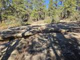 TBD Columbine Circle - Photo 4