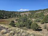 TBD San Juan Mesa Dr - Photo 2