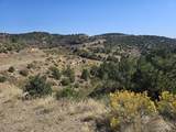 TBD San Juan Mesa Dr - Photo 8