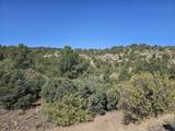 TBD San Juan Mesa Dr - Photo 9
