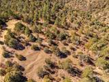 5977 Deer Trail Lane - Photo 44