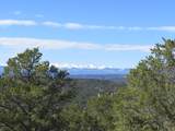 8010 Old Sopris Rd - Photo 1