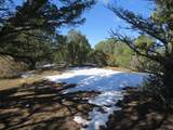 8010 Old Sopris Rd - Photo 10