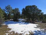 8010 Old Sopris Rd - Photo 11