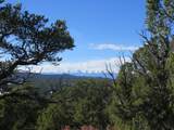 8010 Old Sopris Rd - Photo 12