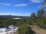 8010 Old Sopris Rd - Photo 2