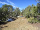 8010 Old Sopris Rd - Photo 3