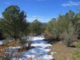 8010 Old Sopris Rd - Photo 5