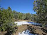 8010 Old Sopris Rd - Photo 6
