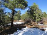 8010 Old Sopris Rd - Photo 7