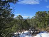 8010 Old Sopris Rd - Photo 8