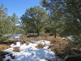 8010 Old Sopris Rd - Photo 9