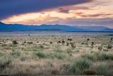 Lot# 232 Turkey Ridge Ranch - Photo 1