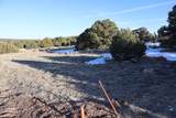  Comanche Drive - Photo 8