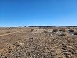 40 acres Las Animas Ranch - Photo 12