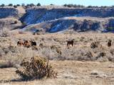 40 acres Las Animas Ranch - Photo 15