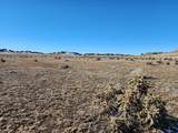 40 acres Las Animas Ranch - Photo 18