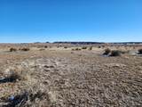 40 acres Las Animas Ranch - Photo 3
