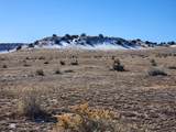 40 acres Las Animas Ranch - Photo 7