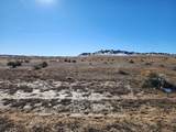 40 acres Las Animas Ranch - Photo 9
