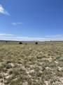 43455 County Rd 64.8 - Photo 4