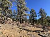 TBD San Pablo Canyon - Photo 21