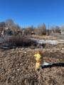 356 7th St - Photo 3