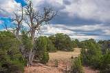 TBD County Rd. 521 - Photo 10