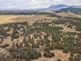 TBD County Rd. 521 - Photo 28