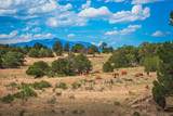 TBD County Rd. 521 - Photo 4