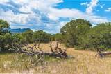 TBD County Rd. 521 - Photo 6
