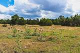 TBD County Rd. 521 - Photo 7