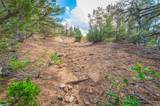 TBD County Rd. 521 - Photo 9