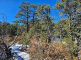 TBD Timber Canyon Rd - Photo 10
