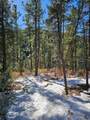 TBD Timber Canyon Rd - Photo 11