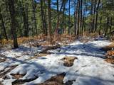 TBD Timber Canyon Rd - Photo 12