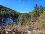 TBD Timber Canyon Rd - Photo 13