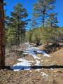 TBD Timber Canyon Rd - Photo 14