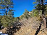TBD Timber Canyon Rd - Photo 15