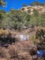 TBD Timber Canyon Rd - Photo 17