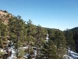 TBD Timber Canyon Rd - Photo 18