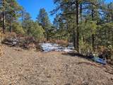 TBD Timber Canyon Rd - Photo 5